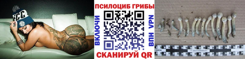 Галлюциногенные грибы MAGIC MUSHROOMS Куртамыш