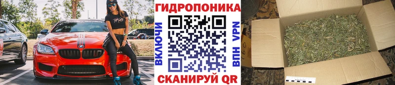 Каннабис OG Kush  omg ссылка  Куртамыш 